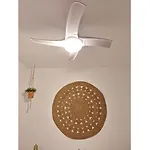 La Casa Del Remolino- Centro Historico De Conil, Andando A La Playa Apartmán